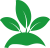 植物种植类